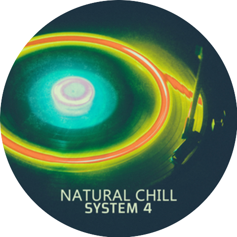 System 4
