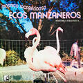 Marimba Orquesta Ecos Manzaneros