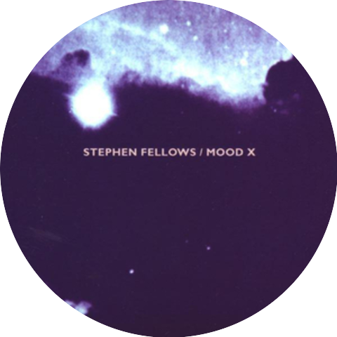 Stephen Fellows