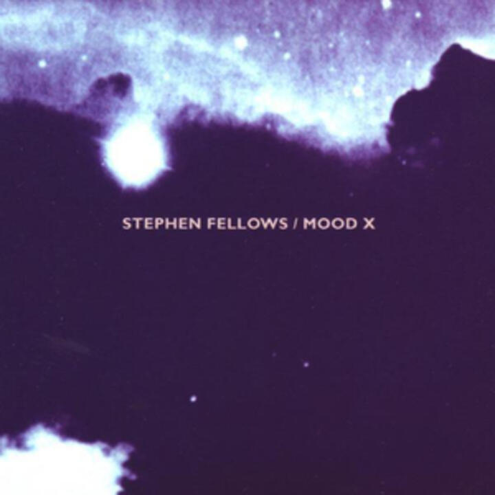 Stephen Fellows