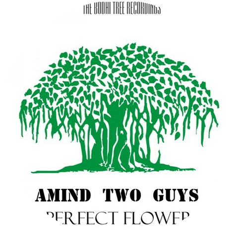 Amind Two Guys