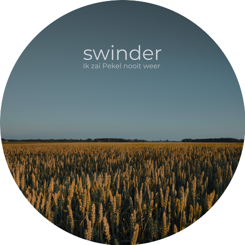 Swinder
