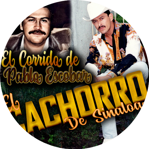 El Cachorro De Sinaloa
