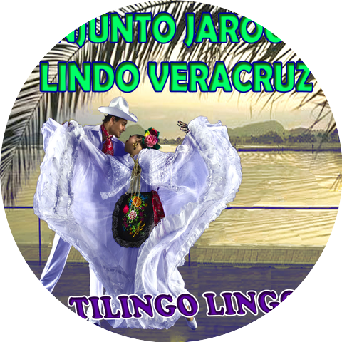 Conjunto Jarocho Lindo Veracruz