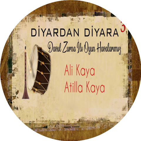 Ali Kaya, Atilla Kaya