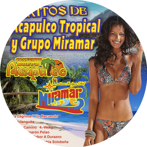 Conjunto Nuevo Acapulco