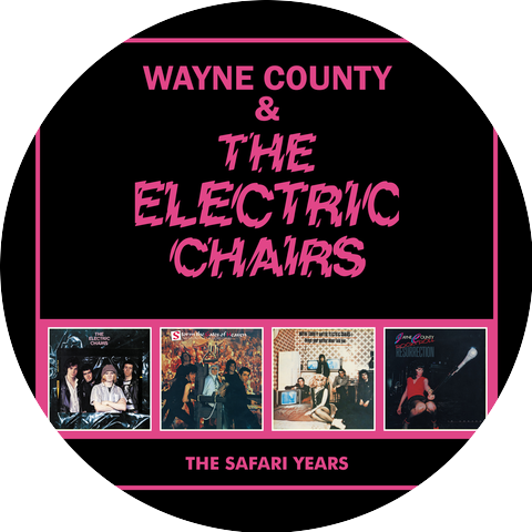 Wayne County & the Electric Chairs