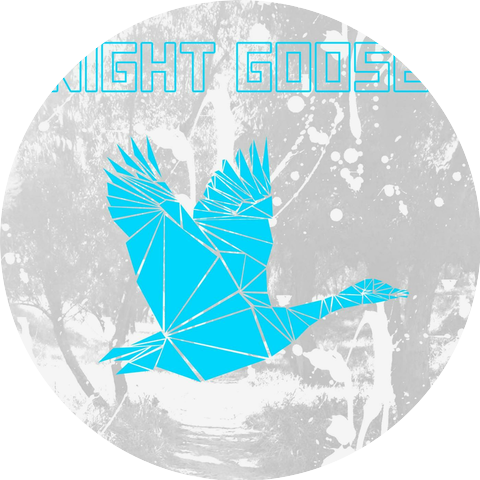 Night Goose