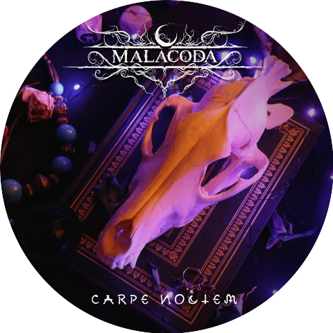 Malacoda