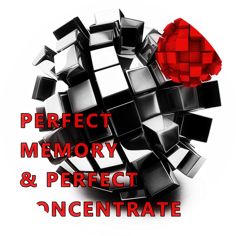 Perfect Memory Academy