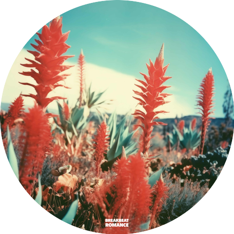 Borneo