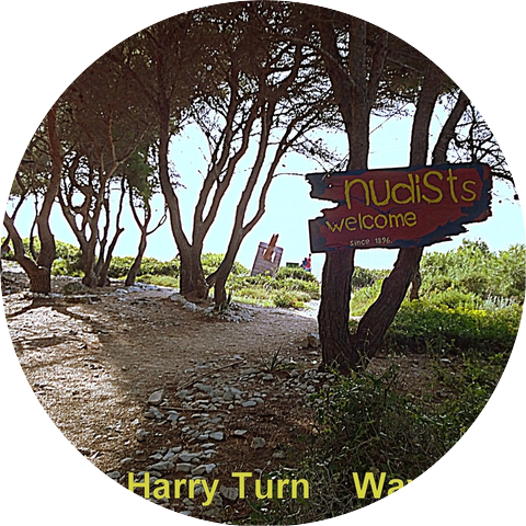 Harry Turn