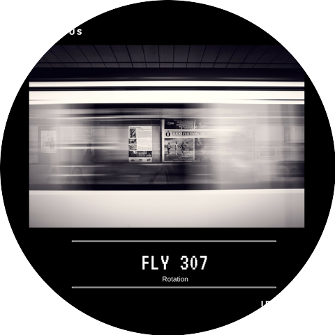 Fly307