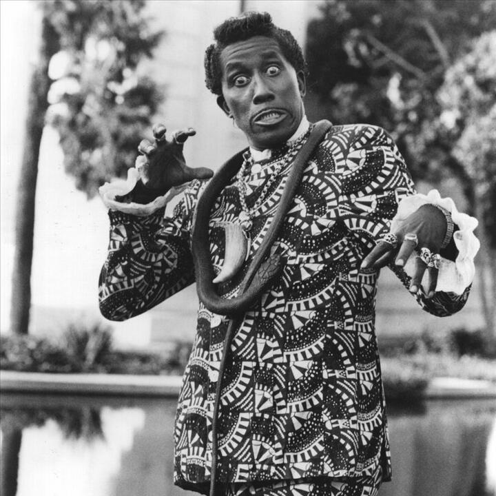 Screamin' Jay Hawkins & The Fuzztones