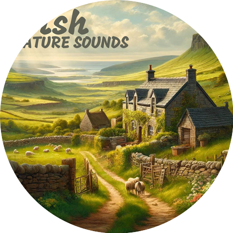Relaxing Nature Sounds Collection