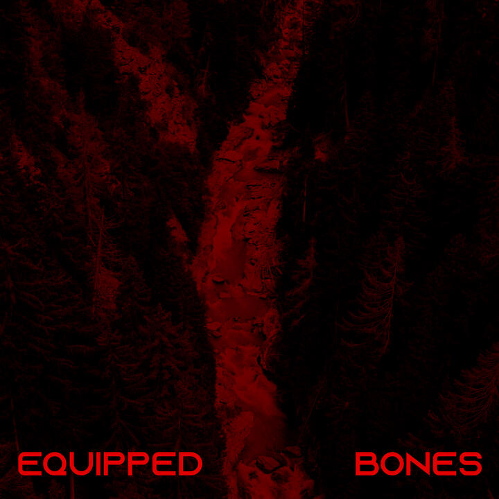 Bones