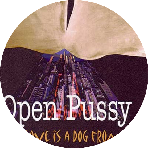 Open Pussy