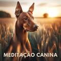Academia de Música para Animais