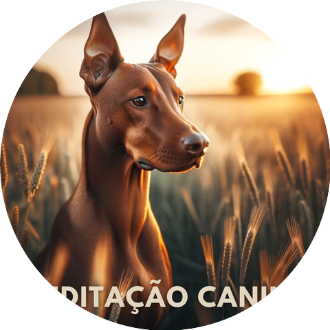 Academia de Música para Animais