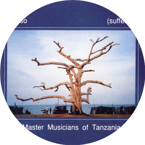 Hukwe Zawose & the Master Musicians Of Tanzania