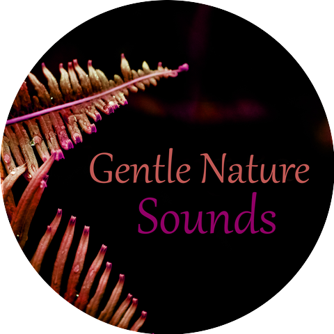 Gentle Nature Sounds Ensemble