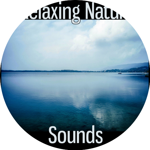 Natural Therapy Music Academy