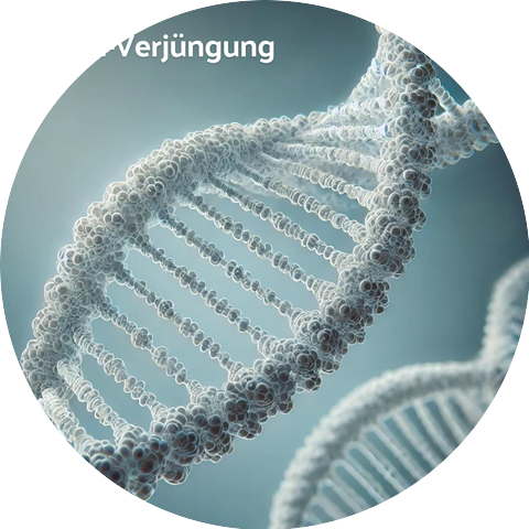 Zen Buddhismus Regeneration Sammlung