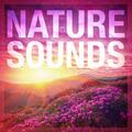 Sounds of Nature White Noise for Mindfulness