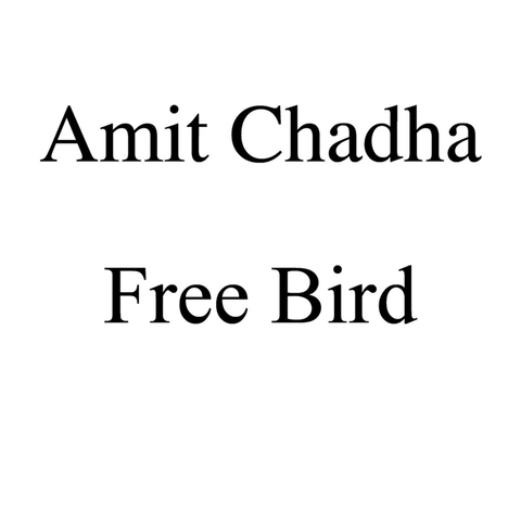 Amit Chadha