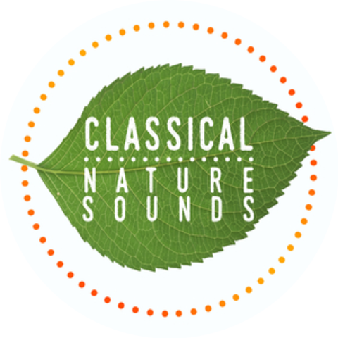 Nature Sounds Nature Music|Sleep Sounds of Nature|Sounds of Nature