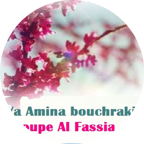 Groupe Al Fassia