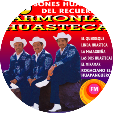 Armonia Huasteca
