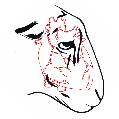Roar