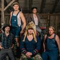 Steve ‘n’ Seagulls