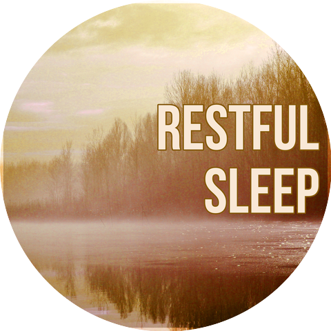 Sleep Music Dreamcatcher