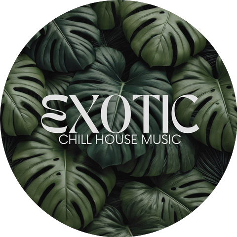 Tropical Chill Music Land