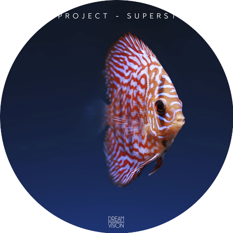 2d Project