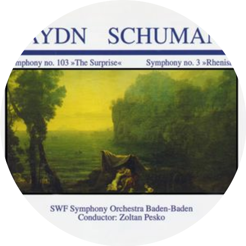 SWF Symphony Orchestra
