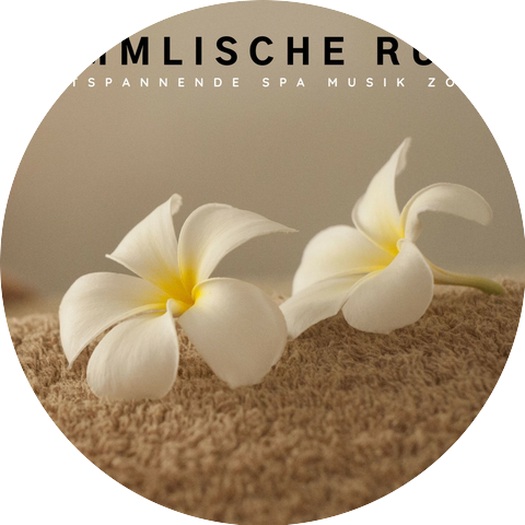 Entspannende SPA Musik Zone