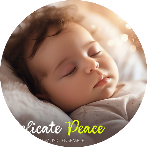 Soothing Baby Music Ensemble
