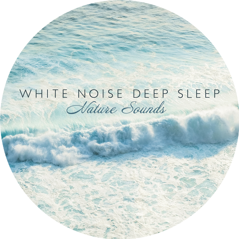 White Noise Zone