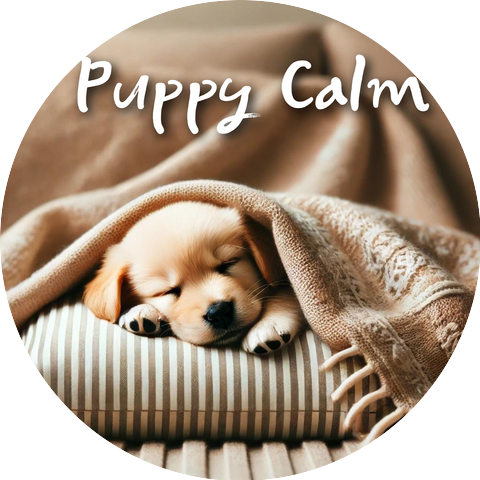Relaxing Piano Music Oasis
