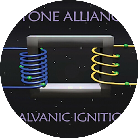 Stone Alliance