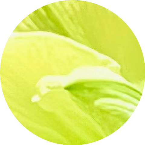 Sjowgren