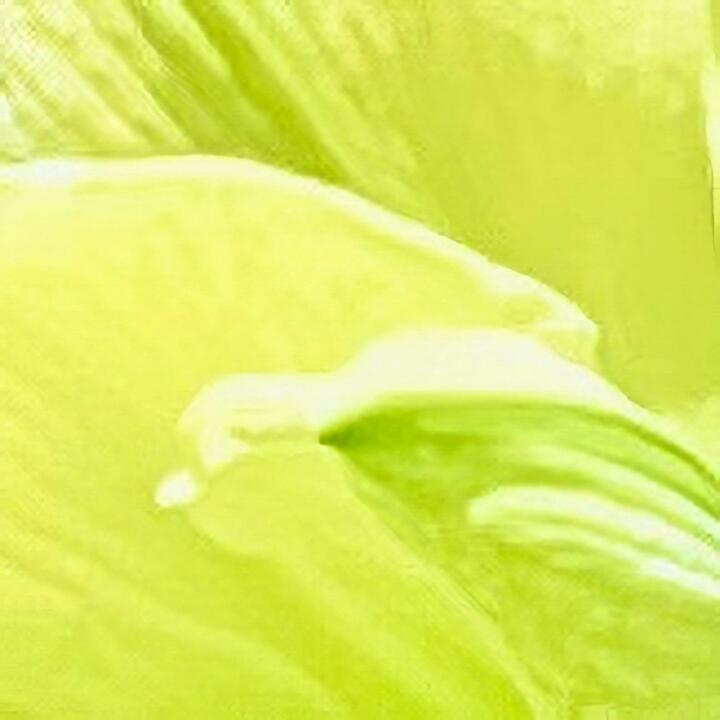 Sjowgren