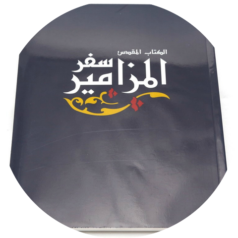 Adel Noshy