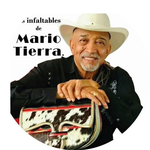 Mario Tierra