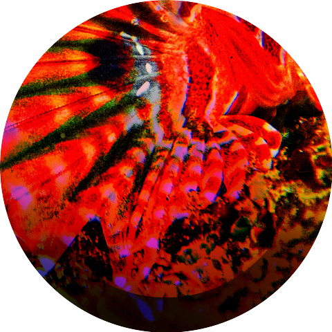 Xhei