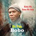 Dr. Paa Bobo