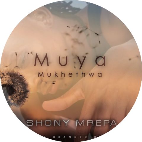 Shony Mrepa